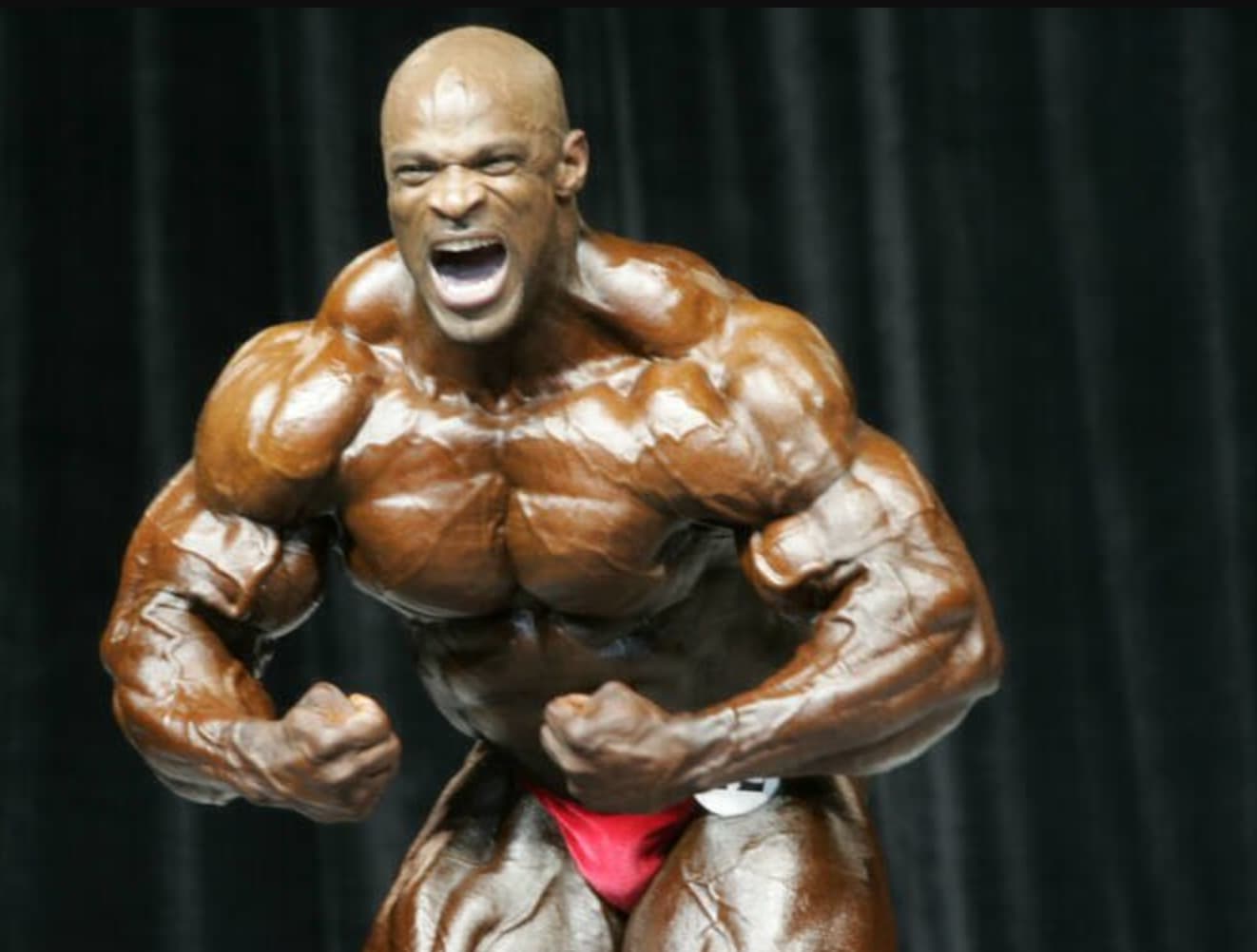 mr olympia 2006